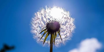 这是一篇测试随机缩略图的文章